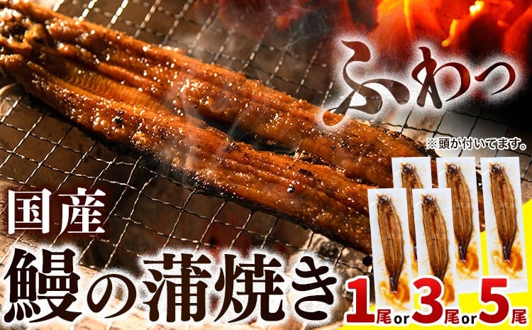 
                  最短3営業日配送『特大』1尾7500円 3尾15000円☆ うなぎ 蒲焼き1尾 3尾 5尾 《3-7営業日出荷》うなぎの蒲焼き うなぎ 鰻 蒲焼 蒲焼き ウナギの蒲焼 徳島県産
                