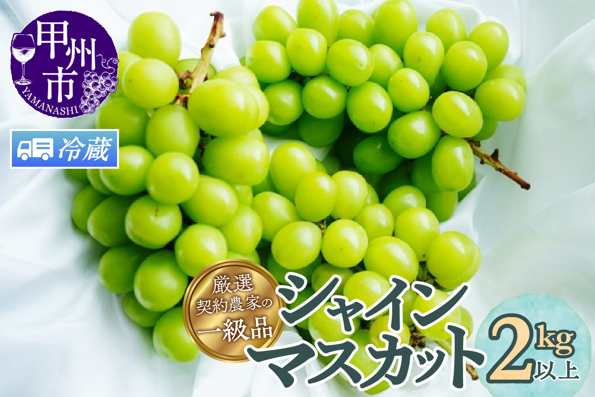 
            【選べる発送年度】【クール配送】厳選契約農家の一級品 シャインマスカット 2kg以上 3～5房【2025年発送】【2026年発送】（SFL）C-430CO 【シャインマスカット 葡萄 ぶどう ブドウ 令和7年発送 令和8年発送 期間限定 山梨県産 甲州市 フルーツ 果物】
          