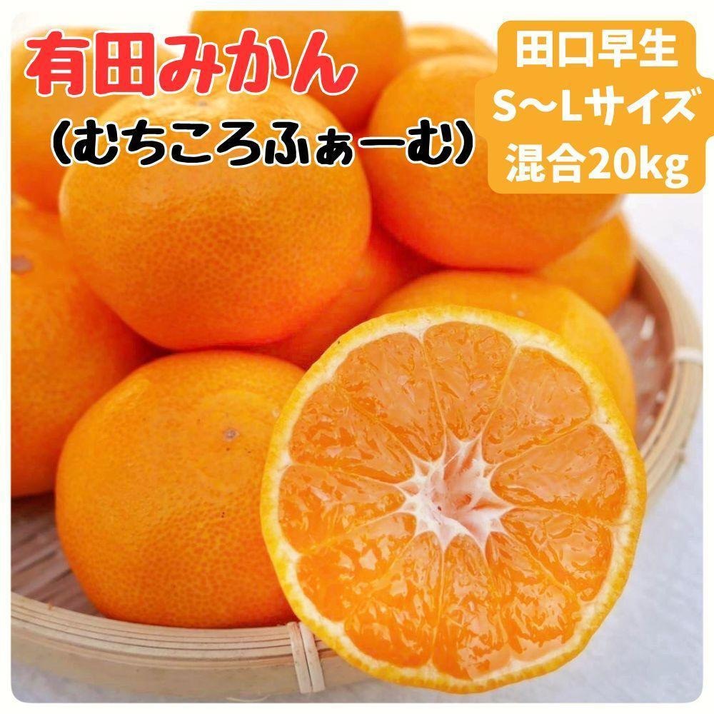 有田みかん 早生S〜Lサイズ混合 約20kg   ER05-D2