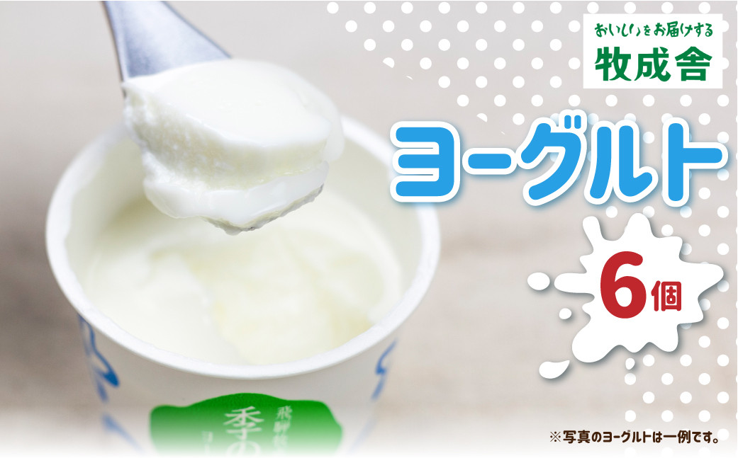 
                  ＜8月から寄附額改定＞牧成舎カップヨーグルト 6個 訳あり 牧成舎 味おまかせ お楽しみ 福袋 プレーン 砂糖不使用 わけあり
                