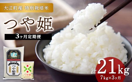 【新米】《定期便3ヶ月》大江町産 つや姫 7kg×3回 合計21kg 【特別栽培米】【2025年度産米】001-T35