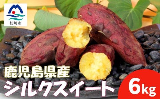 ＜先行予約＞本場鹿児島さつまいも＜シルクスイート＞6kg　2025年10月より発送A3-58【1170448】