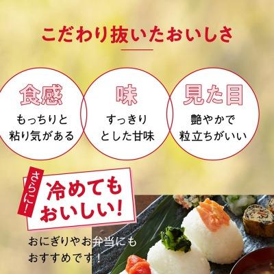 ふるさと納税 陸前高田市 【6回定期便】パックごはん 48パック×6回 〈たかたのゆめ〉 パックライス 米 ご飯 白米 |  | 02