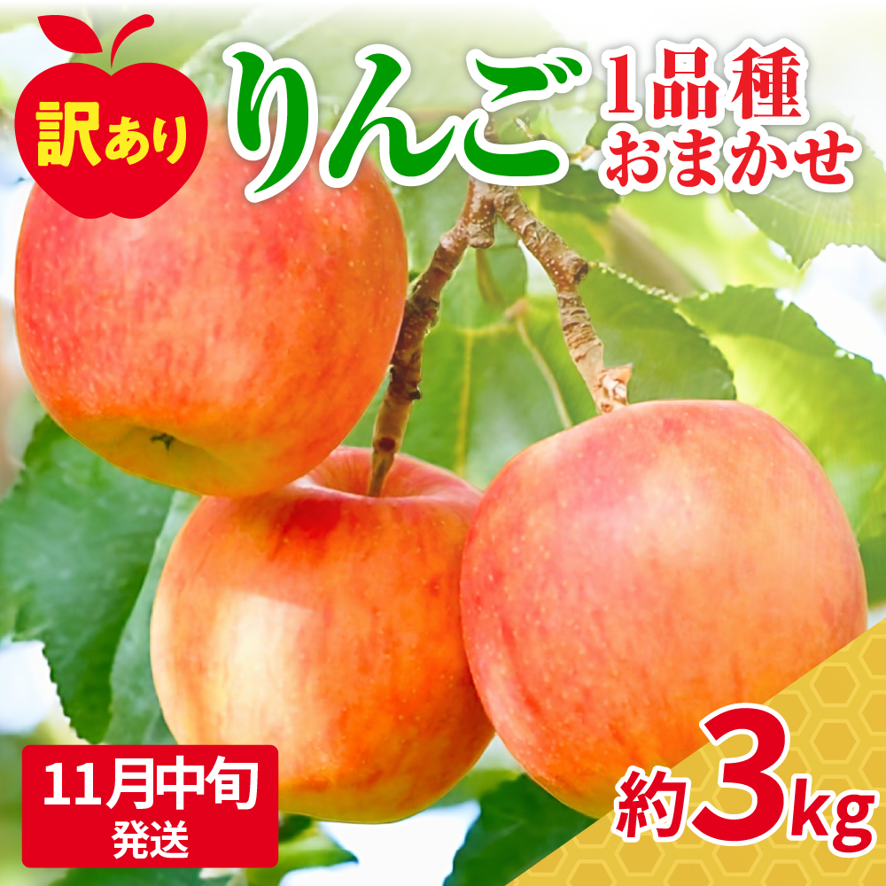 【2025年11月中旬発送】訳ありりんご約3kg（7～12個程度）|おまかせ品種|青森県五所川原市