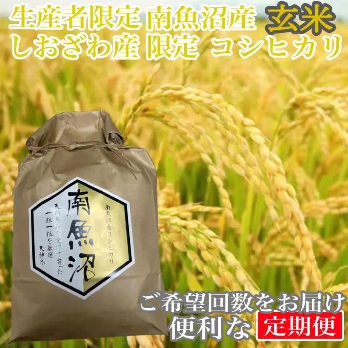 【令和7年】【定期便5kg×12ヶ月】玄米 しおざわ産限定 生産者限定 南魚沼産コシヒカリ｜玄米