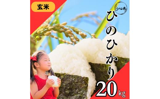 令和7年度産 ヒノヒカリ 玄米 20kg ブランド米 米 玄米 国産 食味 白飯 ご飯 もちもち 特A評価 ひのひかり こめ お米 okome kome おむすび おにぎり弁当 美味しい 朝食 取り寄せ 魚 肉 の おかず にあう 福岡県 柳川市 宝物産