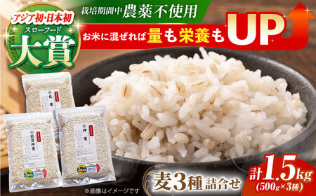 麦詰合 500g×3（押ムギ、胚芽押麦、丸ムギ）【葦農】 HAJ013 雑穀米 