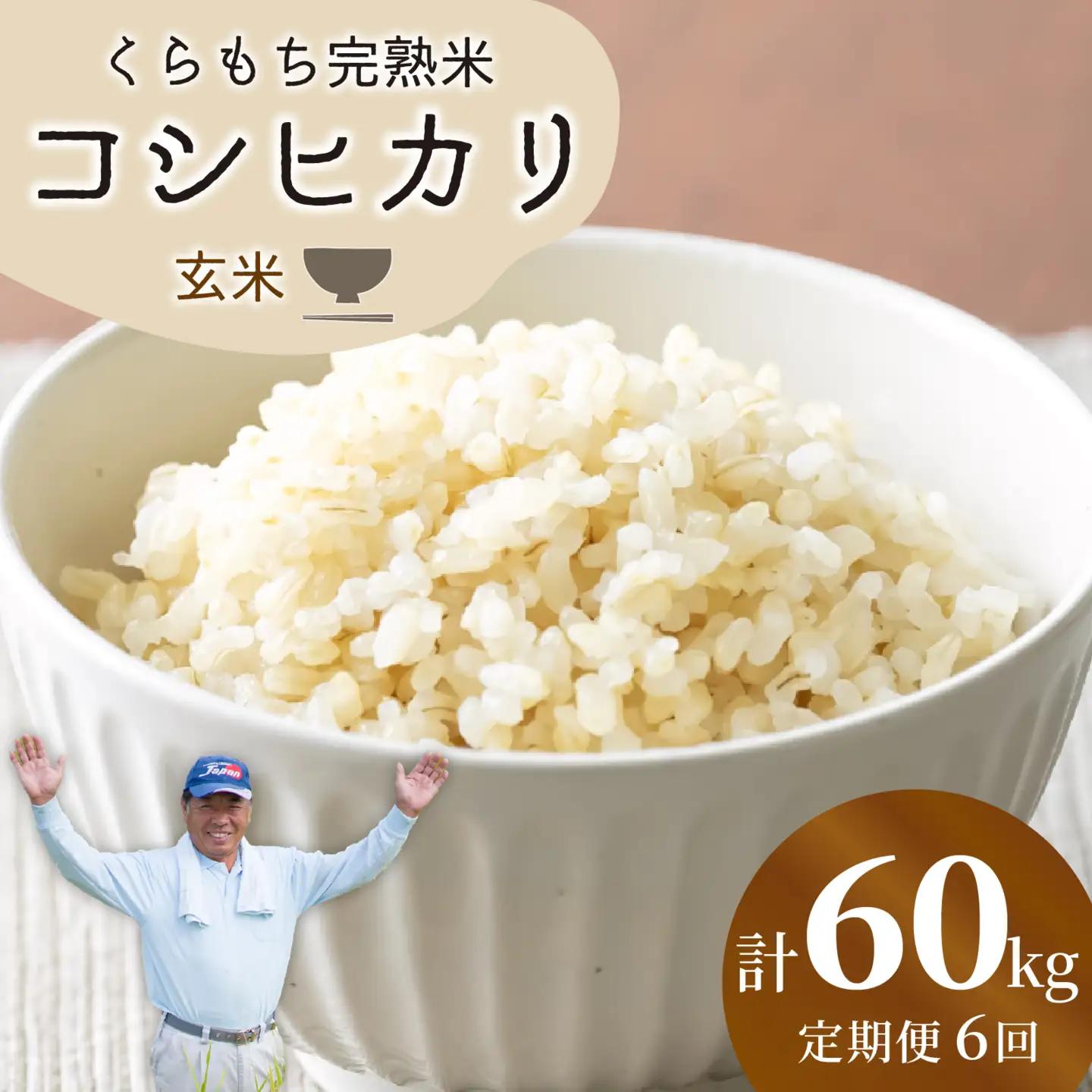 【先行予約】【令和8年産 新米】【6ヶ月定期便】くらもち完熟米 コシヒカリ 玄米 10kg（5kg×2袋）×6回　計60kg