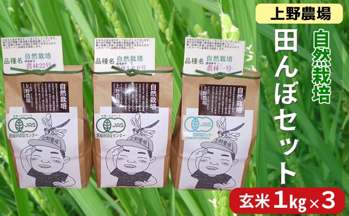 上野農場 自然栽培田んぼセット 玄米1kg×3袋 お米 米 玄米 