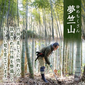 a806 ＜先行予約受付中！2026年12月下旬～2027年2月末の間に発送予定＞数量限定！早堀り筍(正味約1.5kg)【夢竺山株式会社】姶良市 国産 早堀り たけのこ タケノコ 筍 竹の子