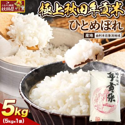 ふるさと納税 秋田県 米 極上秋田年貢米 ひとめぼれ 由利本荘象潟地域 5kg |25_jst-030501f
