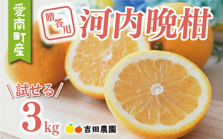 【2026年4月中旬頃発送】【先行予約】贈答用 河内晩柑 3kg みかんみかんみかんみかんみかんみかんみかんみかんみかんみかん