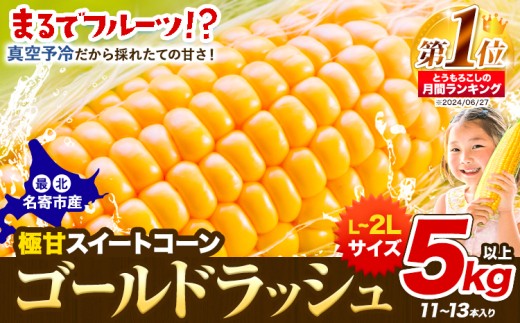 【2026年先行予約】極甘 とうもろこし ゴールドラッシュ 5kg以上 11-13本 特大 スイートコーン 北海道 名寄市 なよろイエロー 朝採れ 真空予冷 冷蔵 トウモロコシ コーン 玉蜀黍 生食 生で食べられる 高糖度 フルーツコーン 夏野菜 旬 TV紹介 お中元 夏ギフト 贈り物 贈答用 御祝 御礼 クール便 産地直送 もぎたて 大容量 送料無料 8月 9月
