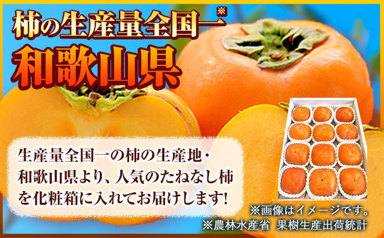【秋の味覚】＜先行予約＞和歌山産 の たねなし 柿 2L〜4Lサイズ 約 4kg（化粧箱入り）厳選館《2025年10月上旬-11月中旬頃出荷》和歌山県 日高川町 柿 カキ かき ジューシー フルーツ 