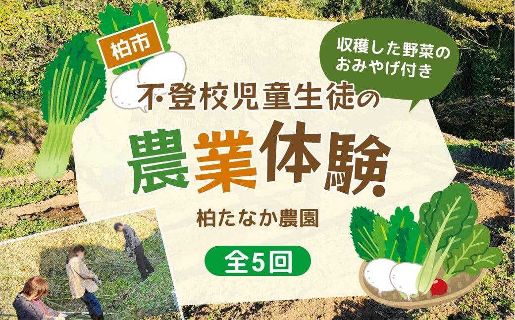
            不登校児童生徒の農業体験（5回） 〈 学び 食育 収穫体験 農業体験 体験 収穫 野菜 子供 親子 農作物 ふるさと納税 柏 〉
          