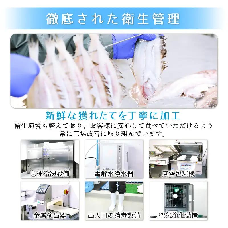 調理済 解凍するだけ ! 越前町産 味噌あえ ホタルイカ たっぷり 計1.2kg（120g × 10P）小分け 冷凍 ほたるいか 全国トップクラスの漁獲量【ボイル 茹で 調理すみ 味付き みそ ミソ 