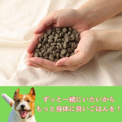 ふるさと納税 高鍋町 ファインおさかな華 1kg　薄型タイプ(ナチュラルドッグフード) |  | 01