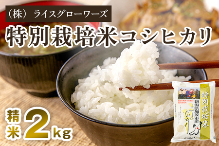 【令和8年産新米先行予約】新潟県 加茂市産 特別栽培米コシヒカリ 精米2kg《10月上旬～順次出荷》 （株）ライスグローワーズ