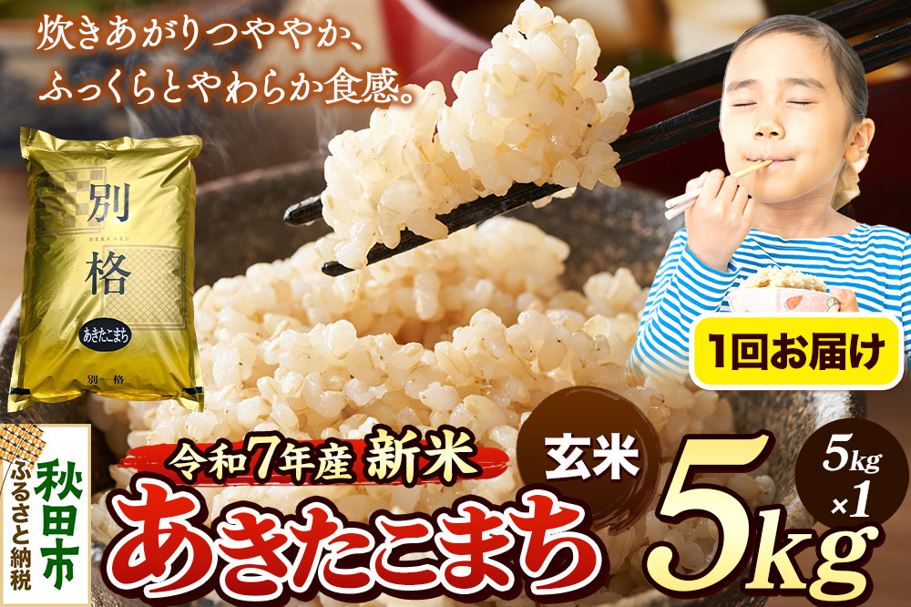 《令和7年産 新米》 米 あきたこまち 5kg 【玄米】 秋田県産