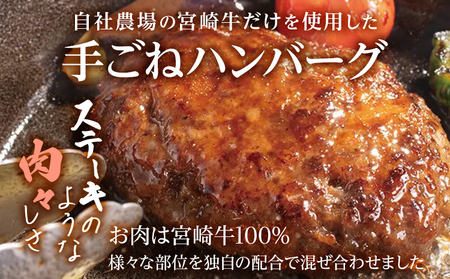 九州産黒毛和牛100％ 手ごねハンバーグ&牛すじ煮 計4個セット 自家製ハンバーグソース付き 惣菜 晩御飯 晩ご飯 晩飯 夕飯 夜ご飯 夜食 洋風 和風 つまみ オリジナル たれ 煮込み 壱岐ファーム