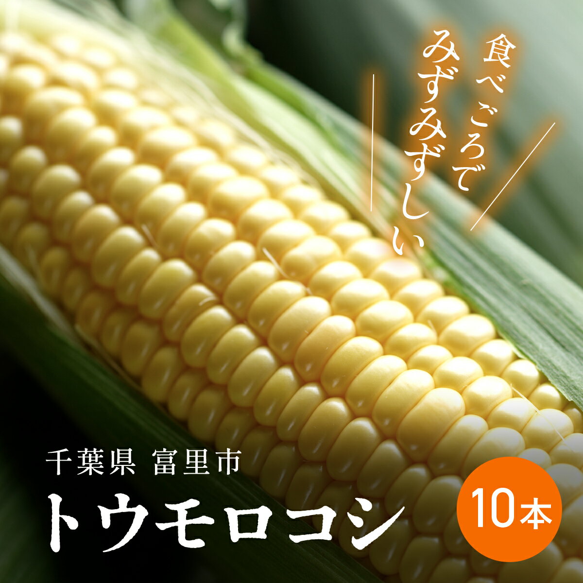 【ふるさと納税】【2025年6月上旬より順次配送】富里産 トウモロコシ 10本 / ふるさと納税 スイートコーン ゴールドラッシュ 味来 トウモロコシ とうもろこし 千葉県 富里市 採れたて とれたて 新鮮 産地直送 農家直送 千葉県産 TME011