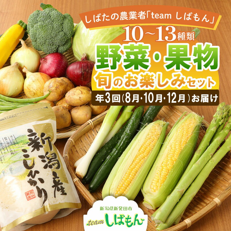 【ふるさと納税】 季節野菜 定期便 年3回 旬の野菜をお届け teamしばもん 季節の野菜セット 新潟 新発田 野菜 セット しばもん 生産者直送 年3回 定期便 新発田市 新潟県 C17_01