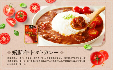訳あり 飛騨牛レトルト４種１２袋！　バラエティセット ビーフカレー トマトカレー ビーフシチュー デミハヤシ レトルト 12袋 ふるさと清見21　DC002