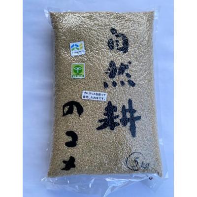 ふるさと納税 那須塩原市 【那須塩原ブランド認定品】プロポリス米(玄米・5kg)