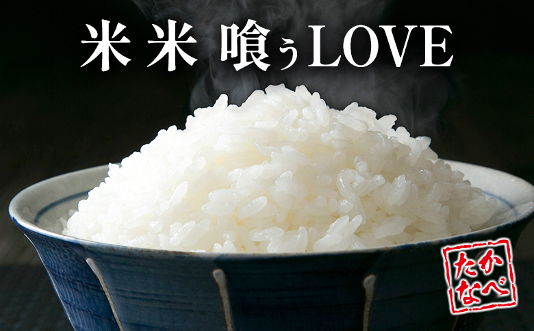 ＜3回定期便＞ コシヒカリ 5kg 令和8年産 無洗米 国産 チャック付 小分け 食品 保存 便利 ご飯 弁当 こしひかり 数量限定 送料無料