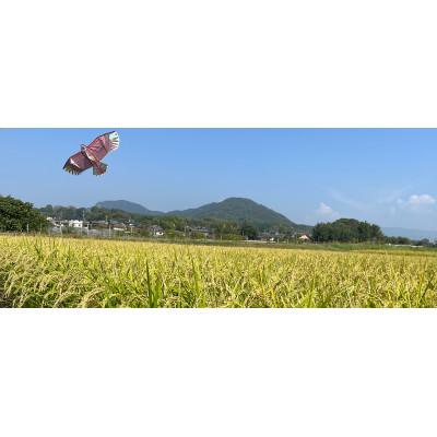 ふるさと納税 山鹿市 発芽玄米パウダー100g×9袋【株式会社夢アグリ】《山鹿市》 |  | 03