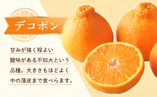 【先行予約】《2026年3月頃お届け》 デコポン 瀬戸内の果汁溢れるみかん 不知火 約1.5kg しらぬい みかん 柑橘 フルーツ 旬 でこぽん デコポン 厳選 F5J-1024