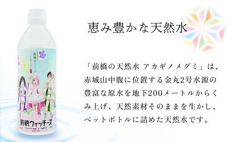水 ミネラルウォーター 前橋ウィッチーズラベル 500ml 24本 | 水