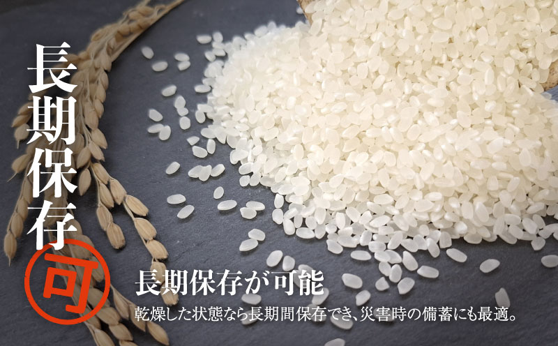 【令和8年産先行予約】山梨県産こしひかり[10kg] 米 お米  こしひかり コシヒカリ　