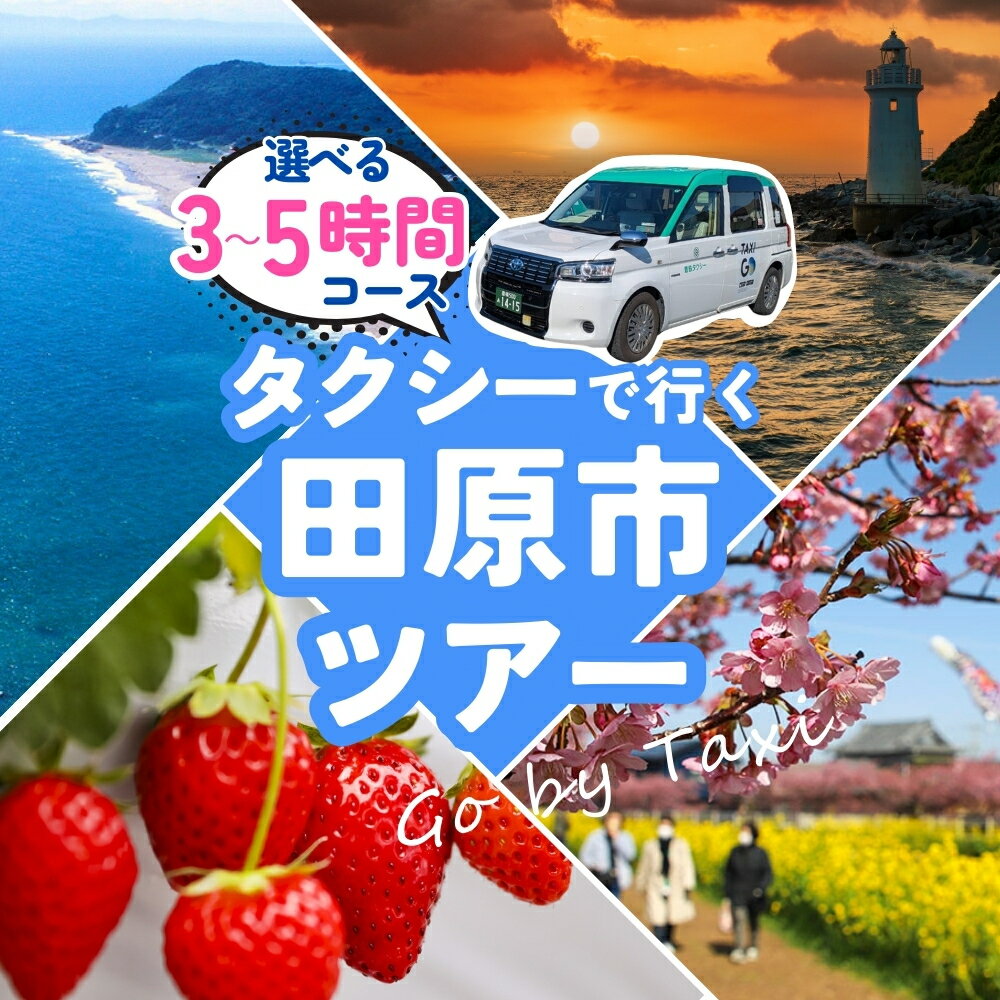 【ふるさと納税】中型タクシーで田原市観光プラン 選べる 3時間 5時間 コース 観光 旅行 タクシー いちご狩り 岬 灯台 菜の花 菜の花祭り 田原市 渥美半島 愛知県