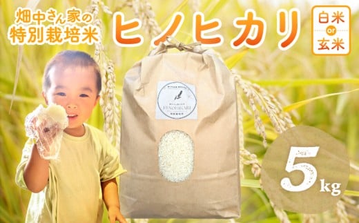 畑中さんがこだわり抜いて育てた 特別栽培米（減農薬米） ｢ひのひかり｣  白米 玄米 可５㎏ 奈良県 三宅町 ヒノヒカリ：白米