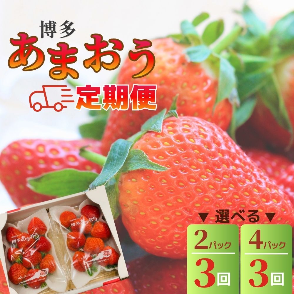【ふるさと納税】【2027年2～4月発送】[選べる容量] 博多あまおう 3回定期便 250g×2パック 250g×4パック 国産 九州 福岡県産 福津市 イチゴ いちご 苺 果物 くだもの フルーツ 先行予約 送料無料 [Z5352r] [Z5342r]