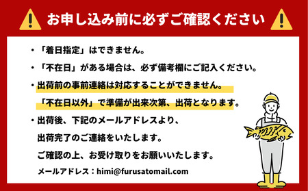 【先行予約】【期間限定】ひみ寒ぶり 刺身用（柵） 500g 富山県 氷見市 刺身 柵 ブリ 鰤 寒ぶり