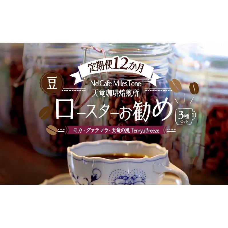 【定期便12か月】ロースターお勧め3種セット（モカ・グァテマラ・天竜の風　TenryuBreeze） 豆 コーヒー豆 珈琲豆 コーヒー 静岡 浜松市