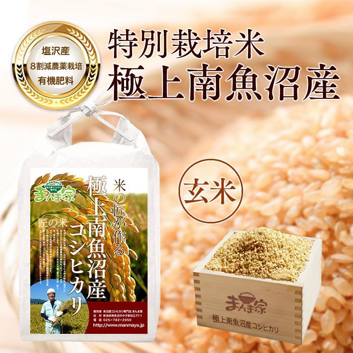 【令和7年産新米予約】【定期便】特別栽培米「極上南魚沼産コシヒカリ」（有機肥料、8割減農薬栽培）玄米10ｋｇ×全12回【2025年9月中旬より順次発送予定】