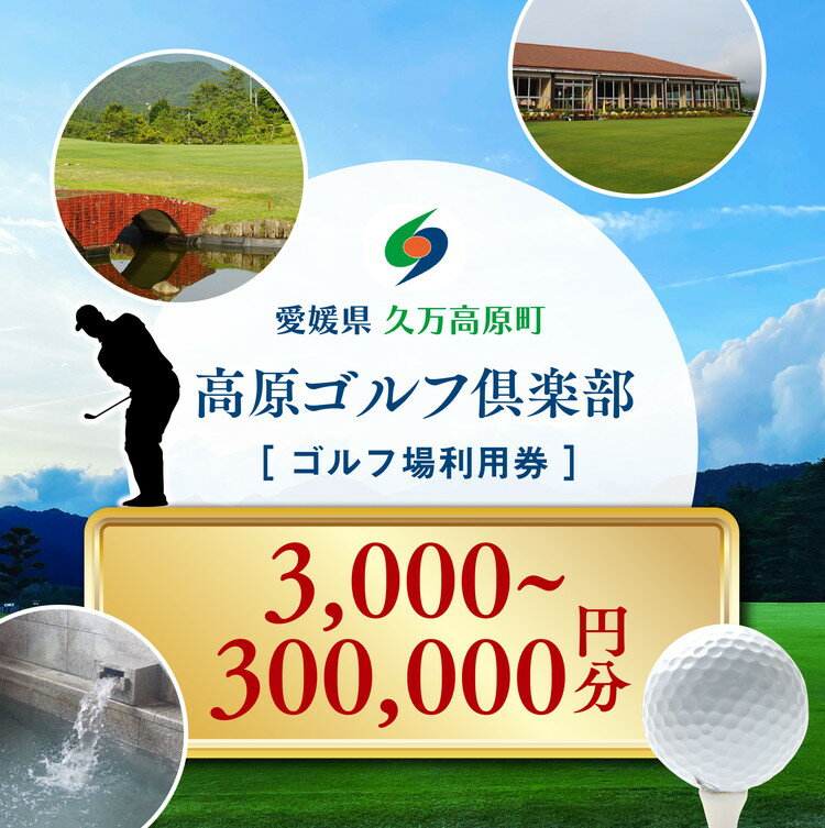 【ふるさと納税】【選べる金額】ゴルフプレー クーポン券