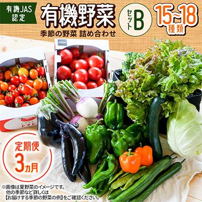 ふるさと納税 北広島市 【毎月定期便】【有機JAS認定】有機野菜セットB 季節の野菜 詰め合わせ(15〜18種類)全3回