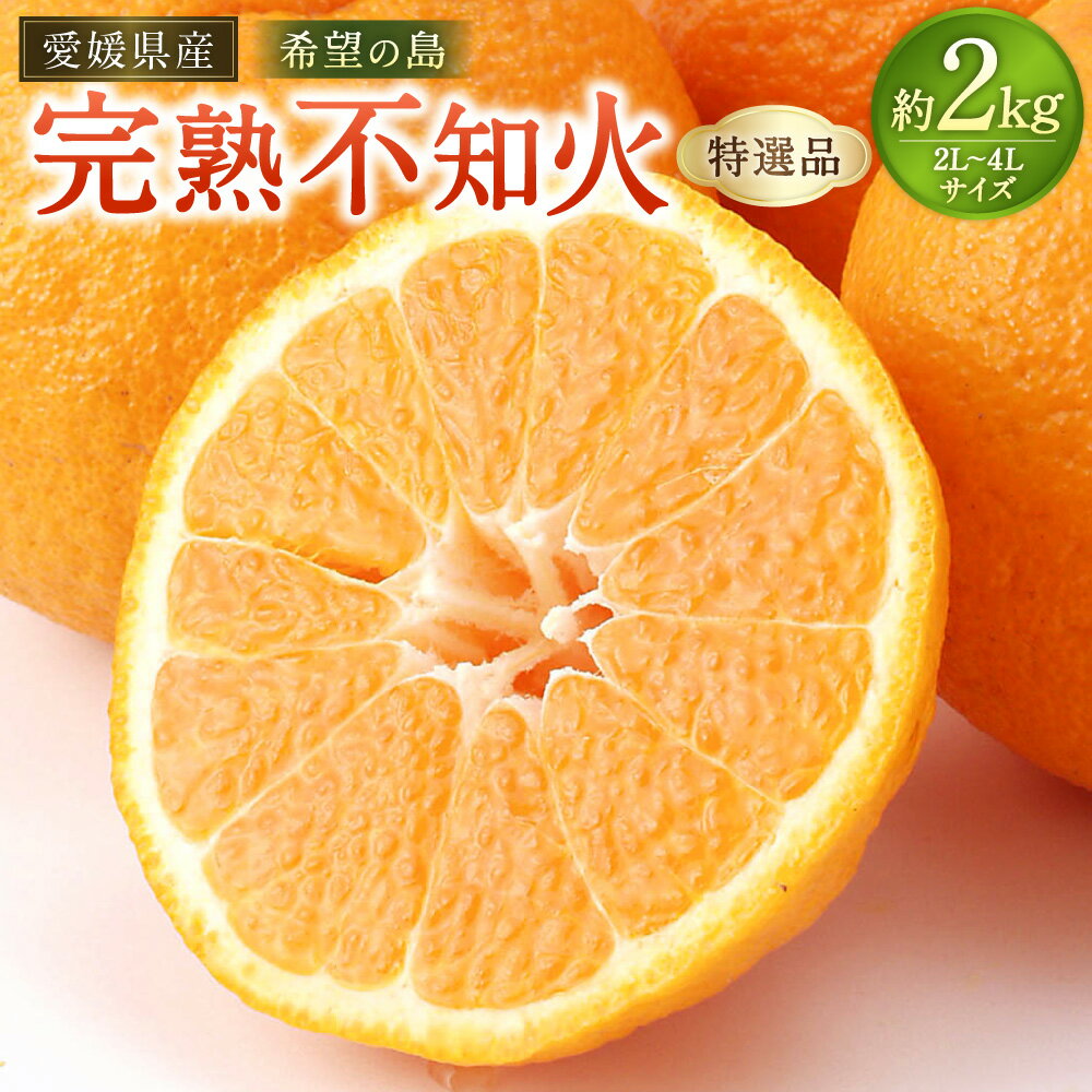 【ふるさと納税】【希望の島】 完熟不知火 特選品 大玉 2kg 2L～4Lサイズ 不知火 しらぬい 完熟 フルーツ くだもの 果物 果実 柑橘 かんきつ みかん ミカン 蜜柑 ギフト 贈答 贈り物 愛媛県産 国産 松山市 中島産 送料無料 （1020）【2026年4月上旬～5月下旬迄順次発送予定】