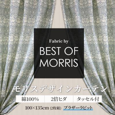 ふるさと納税 茅野市 厚地カーテン ブラザーラビット 幅100×丈135cm 2枚組　Fabric by ベストオブモリス