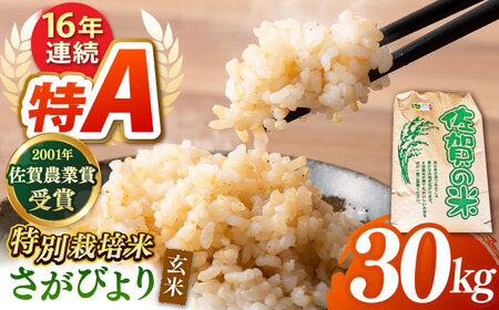 【特別栽培米】さがびより 玄米 30kg 【ももさき農産】  [HCG001]