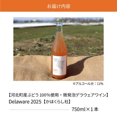 ふるさと納税 河北町 【河北町産ぶどう100%使用・微発泡デラウェアワイン】Delaware 2025(750ml×1本) |  | 03