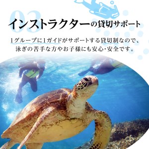 ウミガメ シュノーケリング（ 2名様 ） A051-001 アクティビティ 体験型 ウミガメシュノーケリング 2名分 水中写真 ガイド付 完全貸切 OCEANZ-オーシャンズ ふるさと納税 鹿児島県 