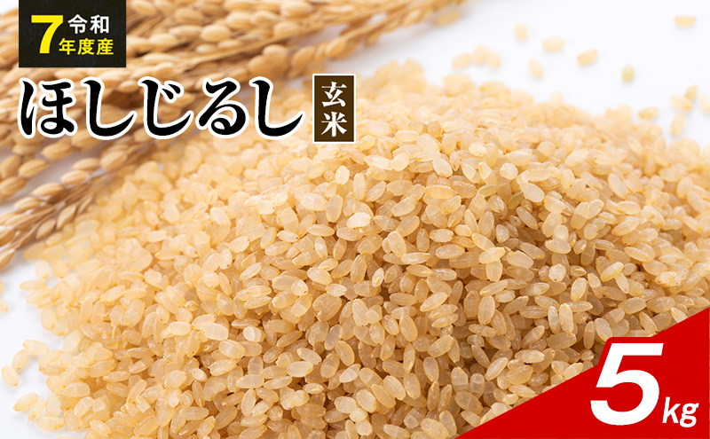 令和7年度産 ほしじるし 5kg 玄米 米 静岡県 袋井市【離島配送不可】