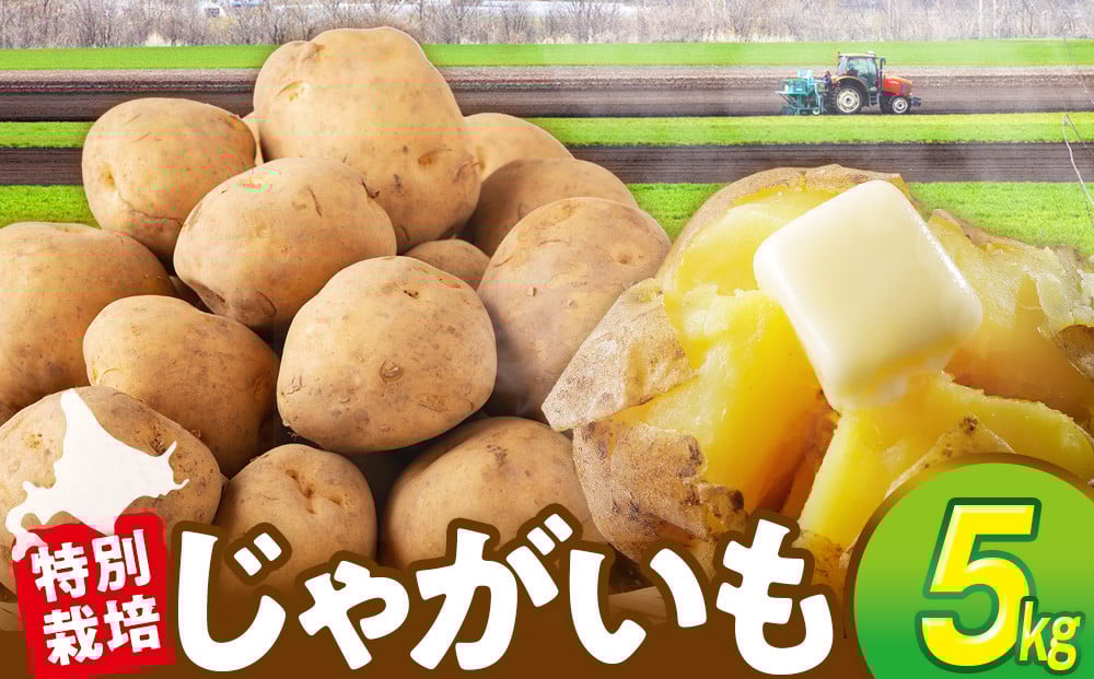 
            【先行受付】R8年産  特別栽培じゃがいも（男爵） 5kg | 北海道津別町
          