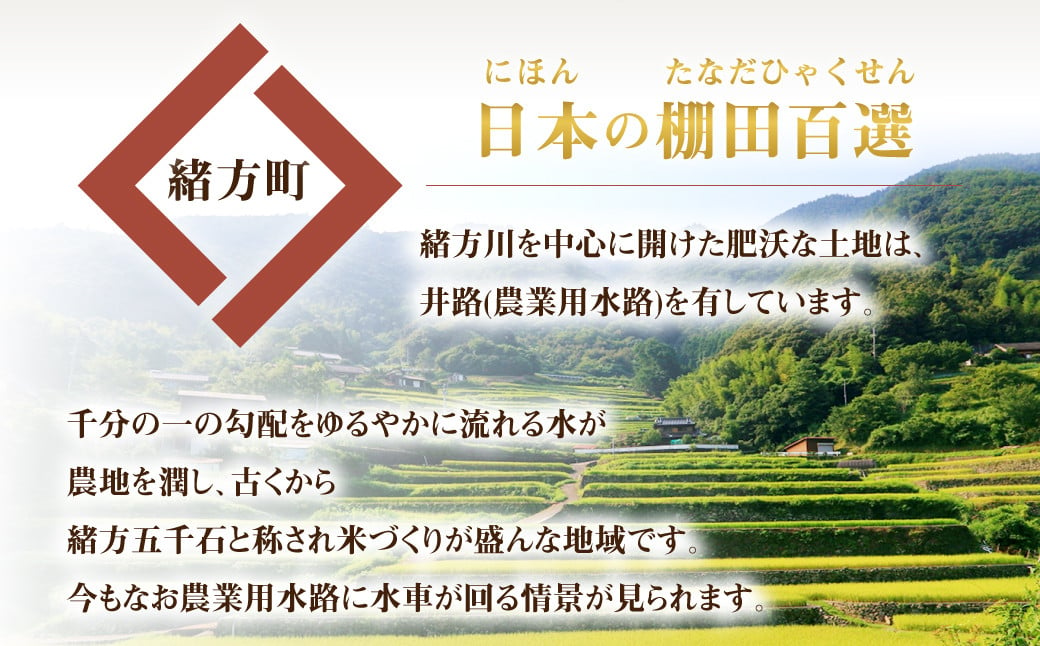 大分県 緒方産 ひのひかり 5kg 専用箱入り