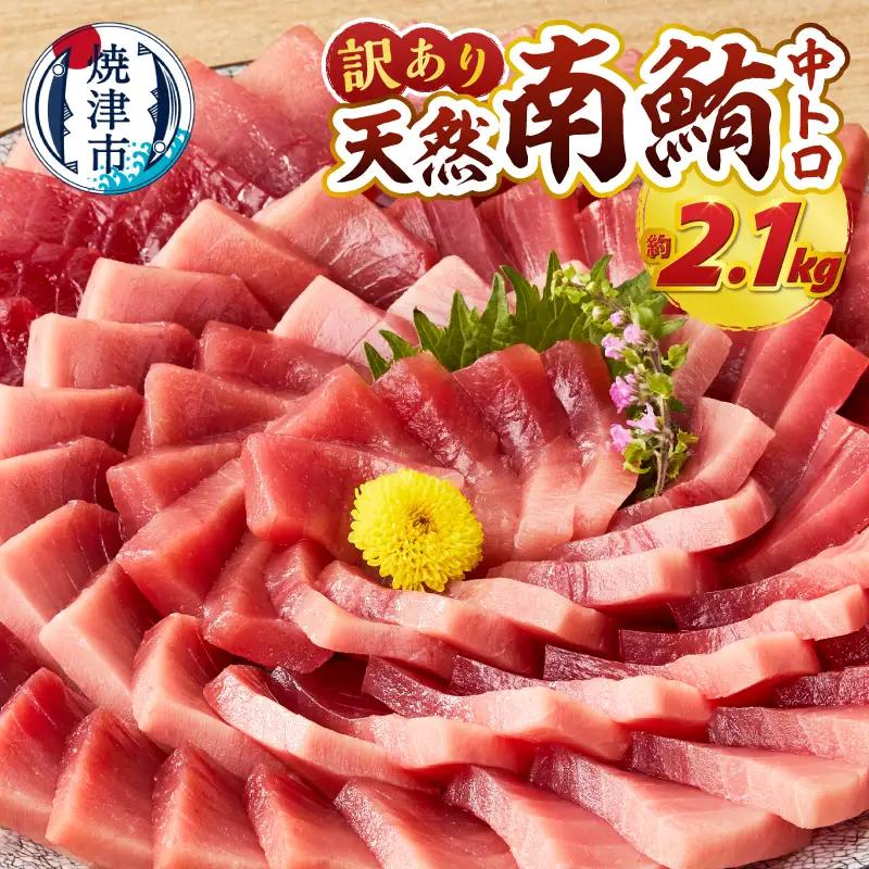 訳あり ミナミマグロ まぐろ マグロ 鮪 刺身 中トロ 天然 切り落とし 約2.1kg (a43-009)